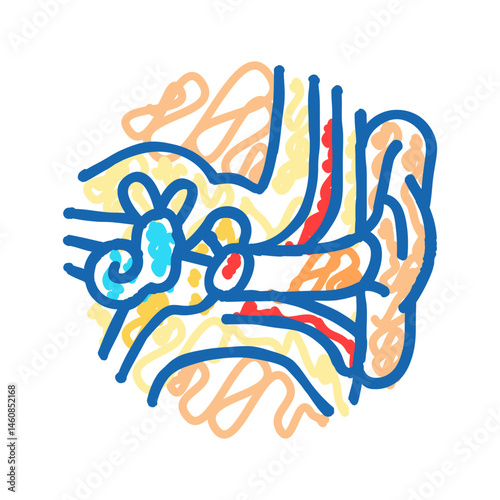 ear anatomy audiologist doctor icon doodle illustration