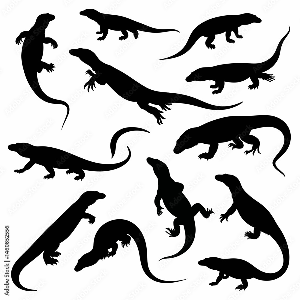 Obraz premium Silhouette collection of Komodo dragons in various poses on a white background for design elements and artistic compositions