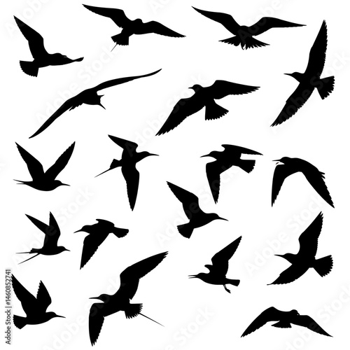 Silhouette flock of birds flying high against a white background creating a sense of freedom and graceful motion, perfect for nature and wildlife themes