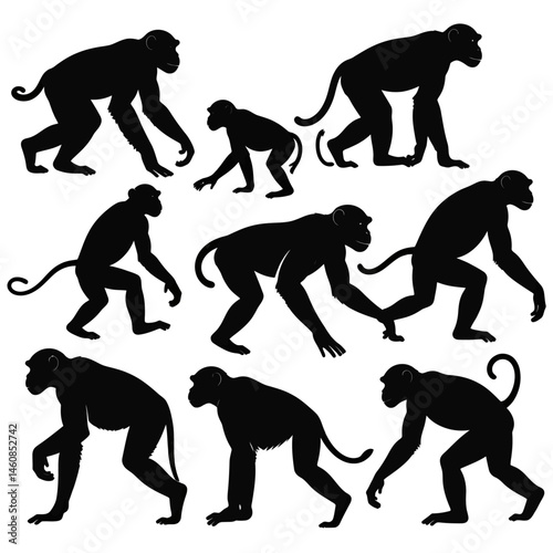 Silhouette monkeys in various poses isolated on white background creating a playful composition suitable for wildlife and design projects