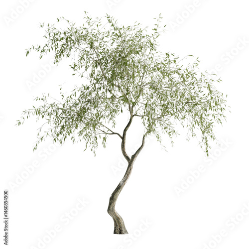 Solitary arboreal beauty a digitally rendered tree form against a stark isolated nothingness expanse