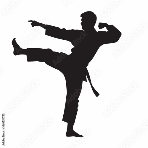 Silhouette of a young adult male demonstrating a martial arts kick with focused concentration, set against a clean white background
