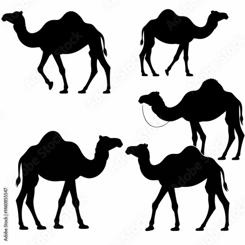 Silhouette set of camels in various poses against a white background ideal for graphic design and illustration projects