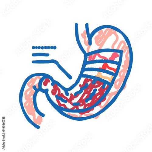 stomach anatomy gastroenterologist icon doodle illustration