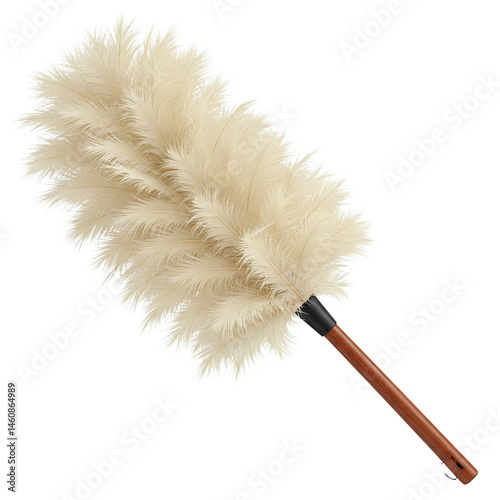 feather duster isolated on a transparent background