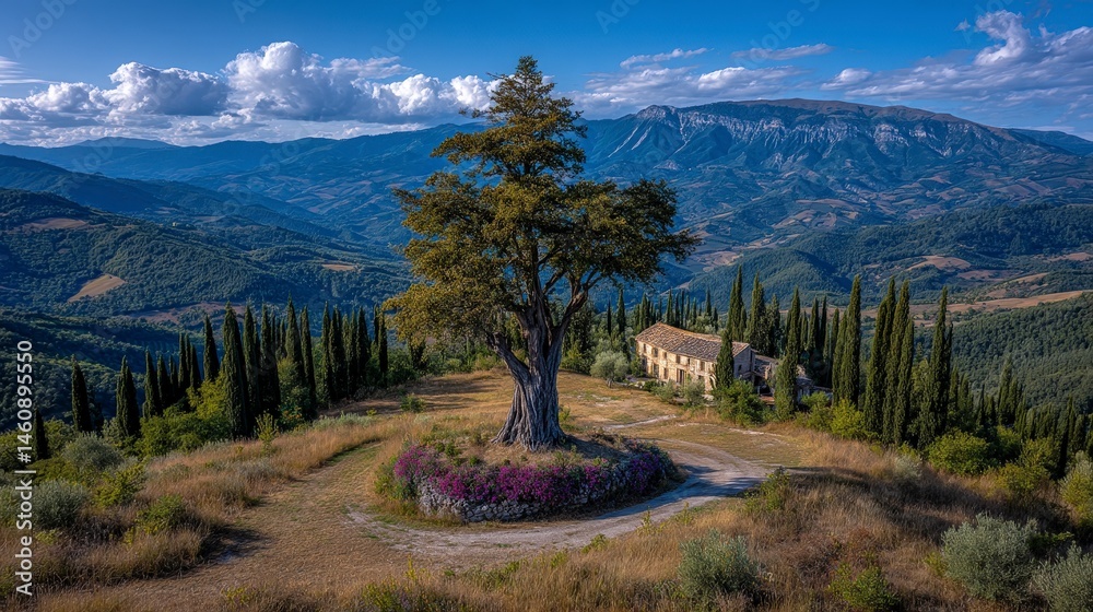 Majestic Hilltop Villa Cypress Trees Olive Grove Scenic Landscape Italian Countryside