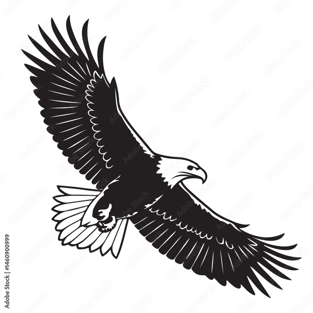 Obraz premium Eagle in Flight Silhouette