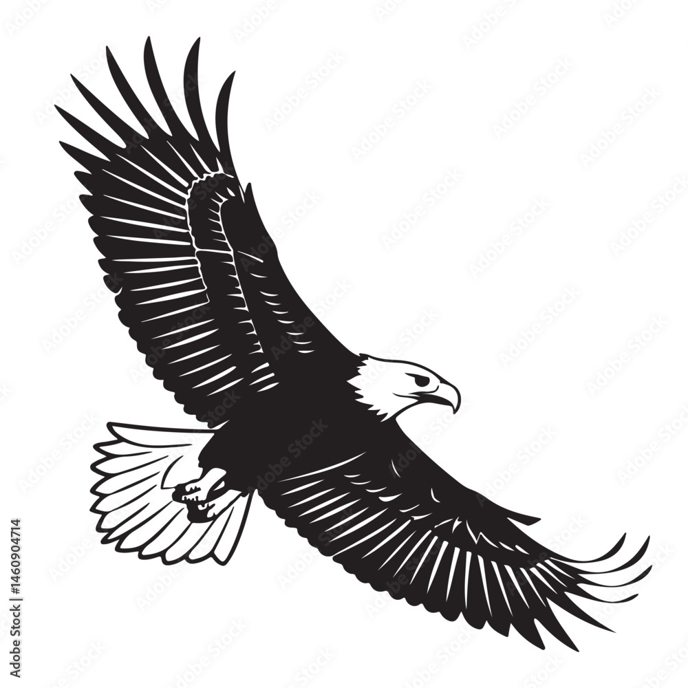 Obraz premium Eagle in Flight Silhouette