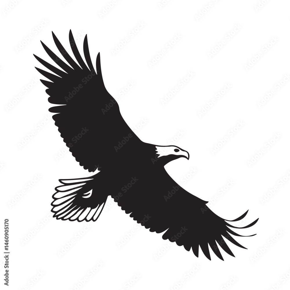 Obraz premium Eagle in Flight Silhouette