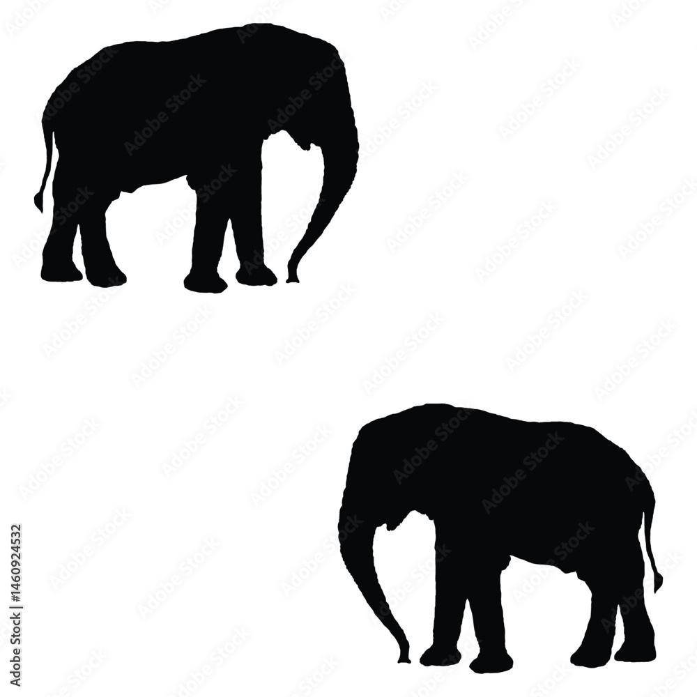 Fototapeta premium Elephant silhouette, Elephant vector, Elephant illustration, silhouette, set icon, silhouette, Elephant