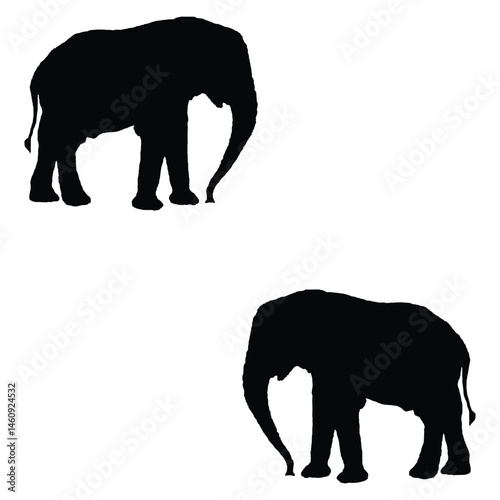 Elephant silhouette, Elephant vector, Elephant illustration, silhouette, set icon, silhouette, Elephant