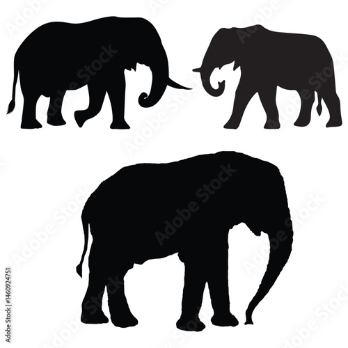 Elephant silhouette, Elephant vector, Elephant illustration, silhouette, set icon, silhouette, Elephant