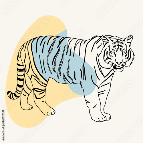  A Tiger vector art illustration