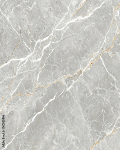 Wallpaper Mural Seamless grey marble texture with a polished look, displaying characteristic white and golden natural veins Torontodigital.ca