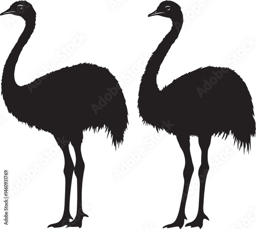 ostrich silhouette isolated on white, bird, ostrich, animal, vector, flamingo, illustration, nature, wildlife, emu, silhouette, heron, wild, white, cartoon, crane, isolated, black, beak, feather, bird