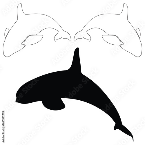 Killer whale silhouette, Killer whale illustration, silhouette, Killer whale vector, set icon, silhouette, Killer whale