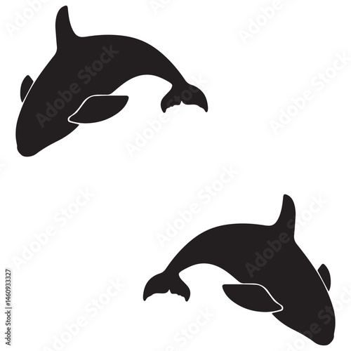 Killer whale silhouette, Killer whale illustration, silhouette, Killer whale vector, set icon, silhouette, Killer whale