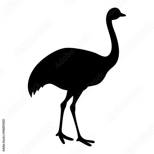 A Emu vector silhouette