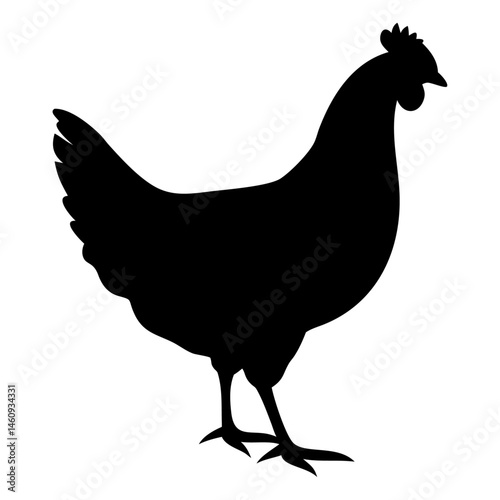 A Hen vector silhouette