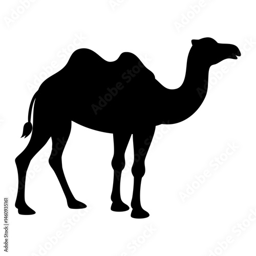 Camel vector silhouette