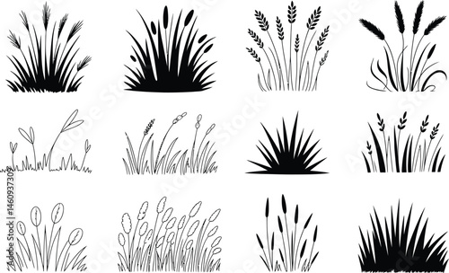 Collection of black and white grass silhouette illustrations for design and decorative elements