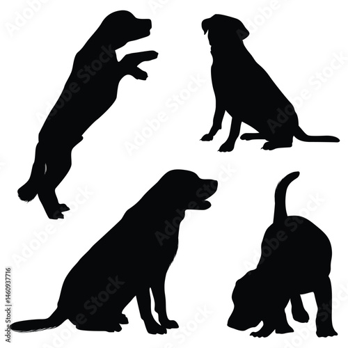 Labrador dogs silhouette, Labrador illustration, silhouette, Labrador vector, set icon, silhouette, Labrador