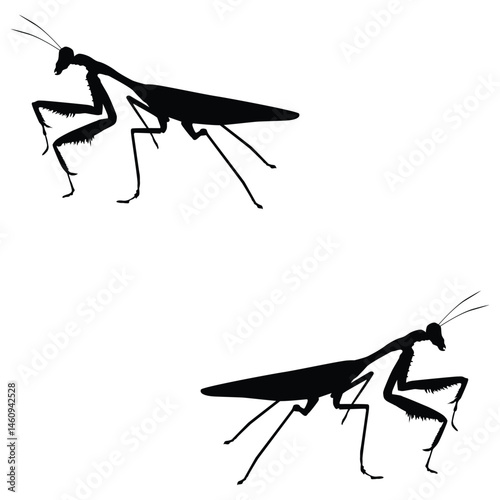 Grasshopper silhouette, Grasshopper vector, Grasshopper illustration, silhouette, set icon, silhouette, Grasshopper