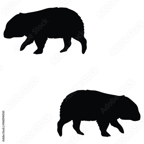 Wombats silhouette, Wombats illustration, silhouette, Wombats vector, set icon, silhouette, Wombats
