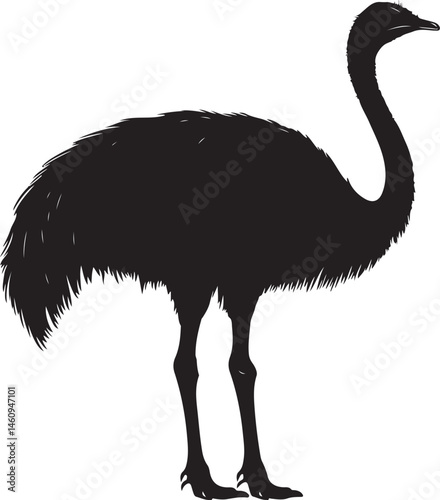 ostrich silhouette isolated on white, bird, ostrich, animal, vector, flamingo, illustration, nature, wildlife, emu, silhouette, heron, wild, white, cartoon, crane, isolated, black, beak, feather, bird