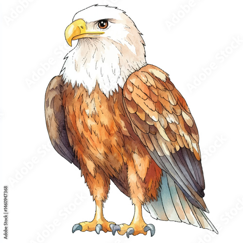 A Eagle simple cartoon drawing watercolor