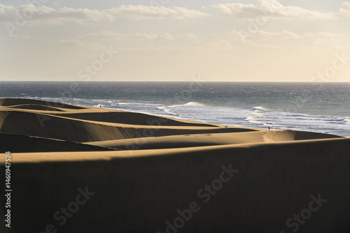 Obraz na płótnie Dunes of Maspalomas, Gran Canaria, Spain. w salonie