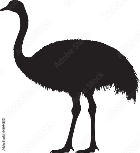 ostrich silhouette isolated on white, bird, ostrich, animal, vector, flamingo, illustration, nature, wildlife, emu, silhouette, heron, wild, white, cartoon, crane, isolated, black, beak, feather, bird