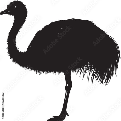 ostrich on the beach, ostrich, bird, animal, emu, wildlife, beak, wild, nature, neck, zoo, feathers, feather, australia, flightless, head, grass, rhea, safari, white, animals, large, australian, long,