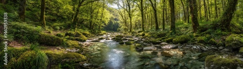 A lush green forest with a clear stream flowing through moss-covered rocks under tall trees.