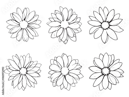 Elegant Dainty Daisy Line Drawing for Nature Themed Projects