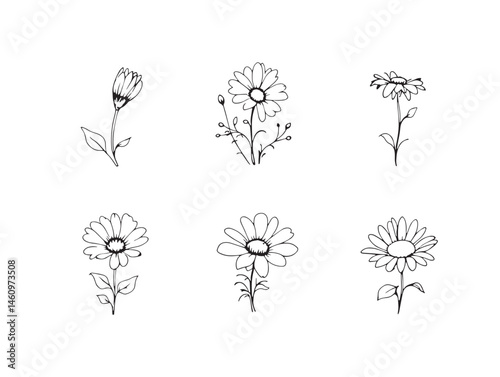 Handcrafted Dainty Daisy Line Art for Floral Inspired Designs