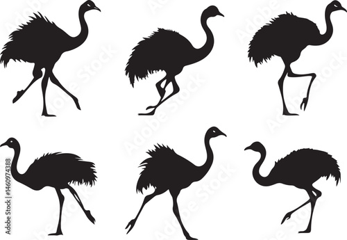 ostrich silhouette vector, bird, flamingo, animal, vector, illustration, nature, silhouette, crane, heron, wildlife, ostrich, cartoon, white, birds, isolated, pink, black, beak, wild, animals, water, 