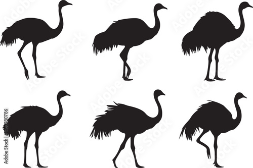 ostrich silhouette vector, bird, flamingo, animal, vector, illustration, nature, silhouette, crane, heron, wildlife, ostrich, cartoon, white, birds, isolated, pink, black, beak, wild, animals, water, 