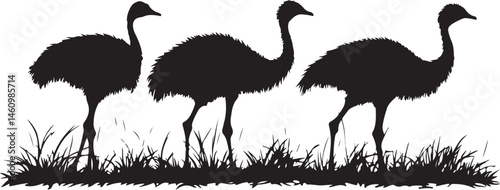 ostrich silhouette vector, bird, flamingo, animal, vector, illustration, nature, silhouette, crane, heron, wildlife, ostrich, cartoon, white, birds, isolated, pink, black, beak, wild, animals, water, 