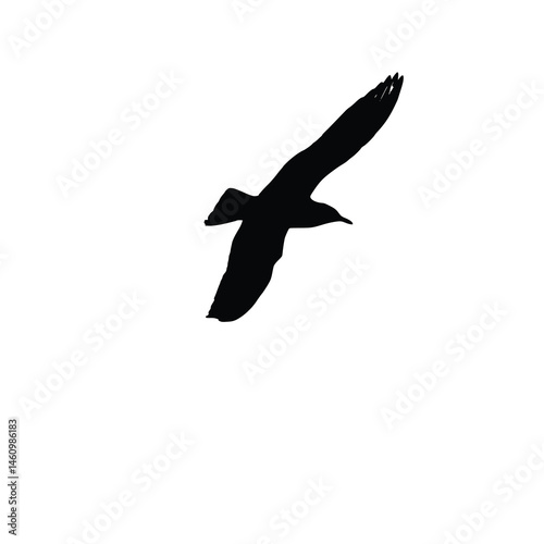  Flying Bird Clipart Silhouette 