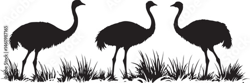 ostrich silhouette vector, bird, flamingo, animal, vector, illustration, nature, silhouette, crane, heron, wildlife, ostrich, cartoon, white, birds, isolated, pink, black, beak, wild, animals, water, 