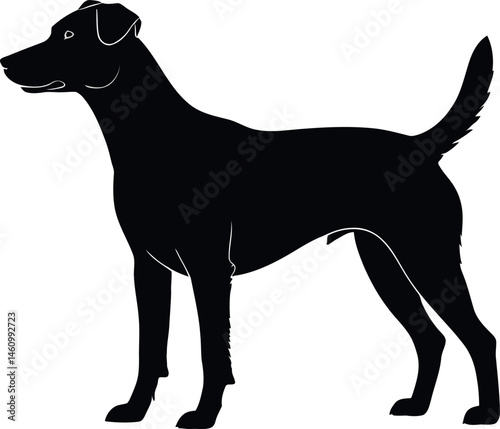 A Silhouette of a Dog