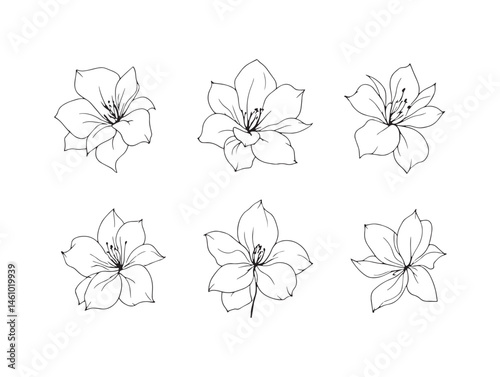 Handcrafted Gardenia Line Art Drawing for Floral Illustration Designs