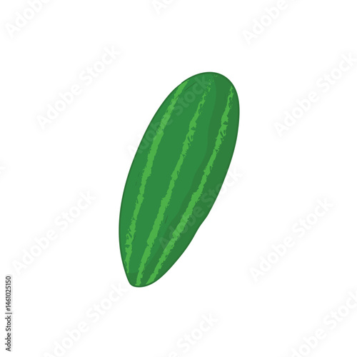 Kovakkai vegetable flat design cartoon icon illustration