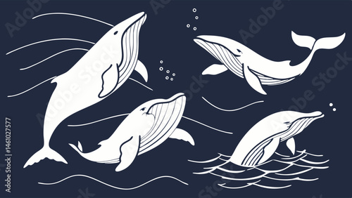 Four White Line Art Whales Swimming in Dark Blue Ocean Vector Illustration Set Marine Life