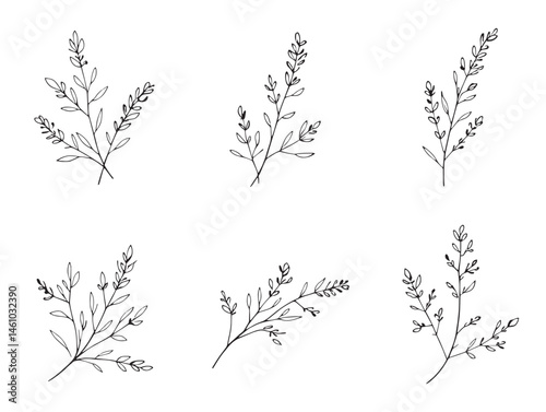 Hand drawn lavender branch sketch line floral illustration design