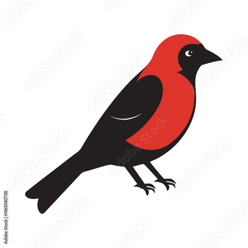 Red Necked Tanager Silhouette Perched On Stem