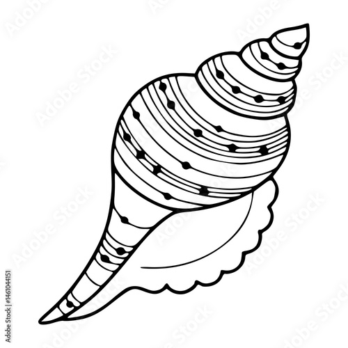conch shell outline vector graphic