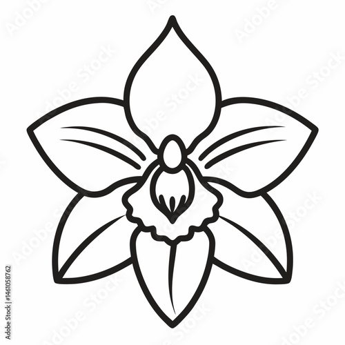 cymbidium icon vector illustration on transparent background.