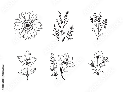 Detailed Floral Art with Nature Inspired Line Art Elements